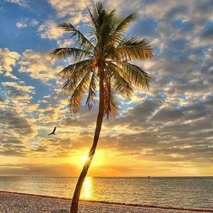 Meet your Posher, Doris